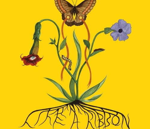 JOHN GLACIER – Like A Ribbon