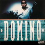 DOMINO – Domino